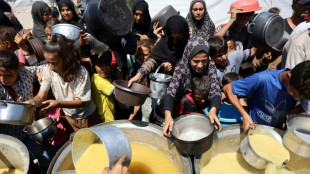 L'émissaire de Trump promet davantage d'aides humanitaires après une visite à Gaza