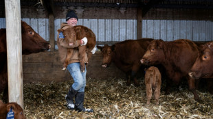 DeSantis plut&ocirc;t que Trump: ces agriculteurs de l'Iowa ont fait leur choix
