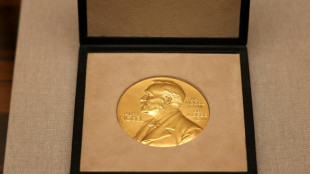 Nach deutschem Erfolg in der Medizin: Nobelpreis f&uuml;r Physik wird verk&uuml;ndet