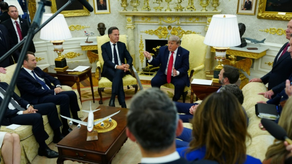 Trump insiste ante el secretario general de la OTAN que los aliados le "decepcionaron"