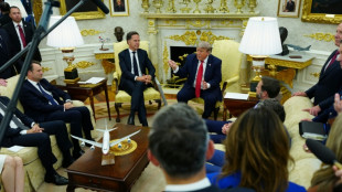 Trump insiste ante el secretario general de la OTAN que los aliados le "decepcionaron"