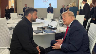 Zelensky, 'penso che incontreremo di nuovo Trump domani'