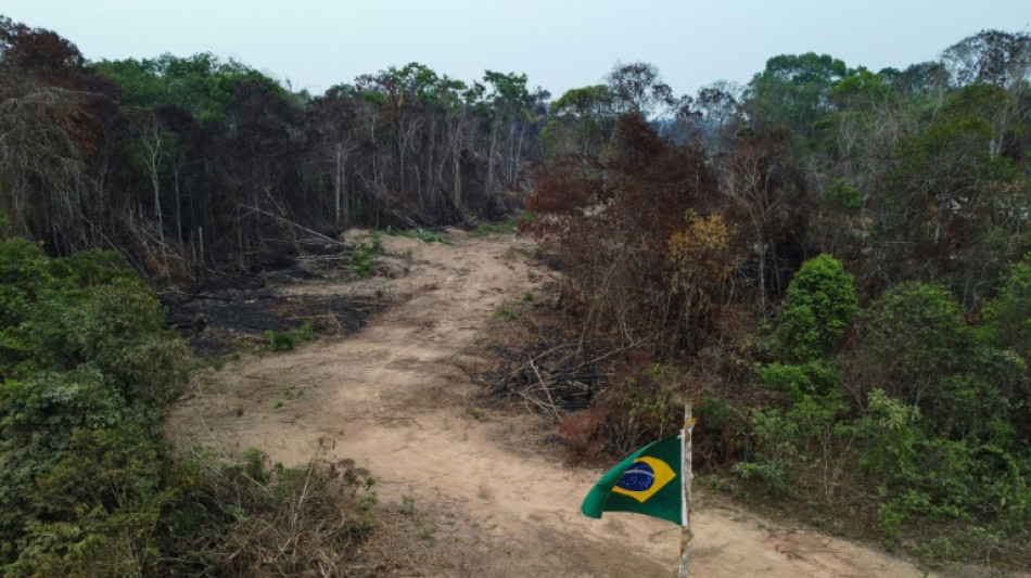 Brasil registra el peor octubre en deforestaci&oacute;n desde 2015