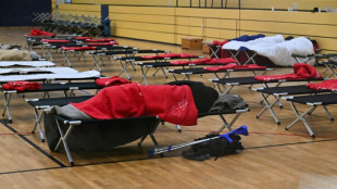 Anschlag auf Berliner Stromnetz: Vermutlich Linksextremisten verantwortlich 