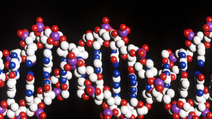 Errori nella riparazione del Dna alla base della perdita di abilit&agrave;