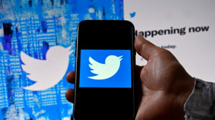 Repouss&eacute; par Musk, Twitter chute &agrave; Wall Street et se met en ordre de bataille judiciaire
