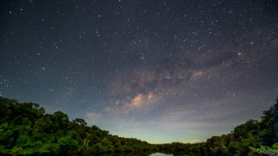 L'Amazonie, enjeu majeur de la pr&eacute;sidentielle au Br&eacute;sil