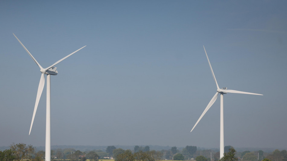 Wwf, 'le rinnovabili sono l'energia per la pace'