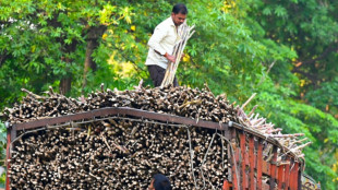 India bars sugar exports until September 