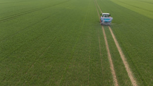 Eau, &eacute;levage, pesticides: le projet de loi d'urgence agricole entame son marathon dans l'h&eacute;micycle