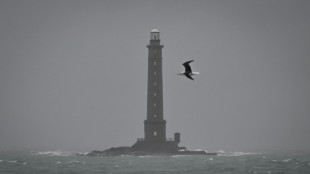 Fuertes vientos y nevadas ponen en alerta a varios pa&iacute;ses europeos