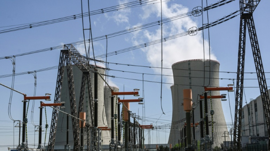 EU to probe Czech aid for two nuclear units
