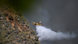 Pelo menos 12 mortos de diferentes nacionalidades em inc&ecirc;ndio no sul da Espanha