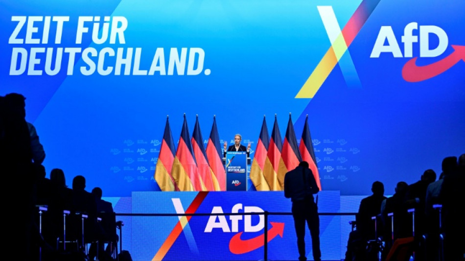 AfD formuliert auf Parteitag Machtanspruch - geplante Blockade des Treffens gescheitert