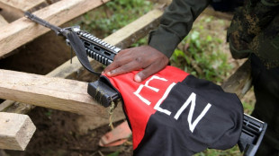Gobierno de Colombia y ELN extienden negociaci&oacute;n para ampliar la tregua