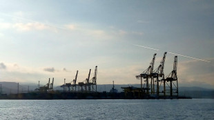 Con accordo Seadock-Medcem +120mila tonnellate di traffici l'anno a Trieste