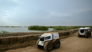 Humanitarians look to put the AI in aid