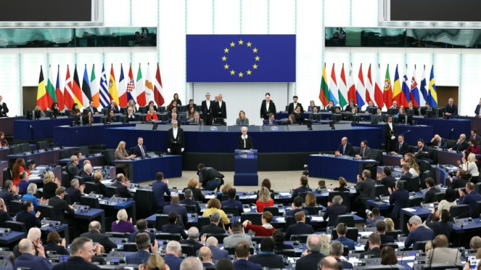 EU-Parlament stimmt &uuml;ber Geb&auml;udesanierung und Industrieemissionen ab