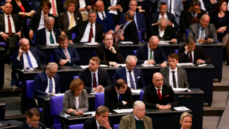 AfD scheitert mit Eilantrag auf vorl&auml;ufige Ausschussvorsitzende in Bundestag
