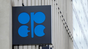 P&eacute;trole: les Emirats annoncent leur retrait surprise de l'Opep