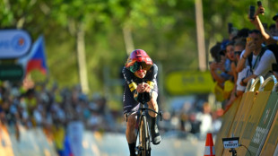 Vingegaard takes Tour de France lead as Visma win opening stage