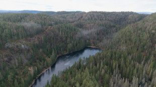 En Norv&egrave;ge, le plus grand gisement de terres rares d'Europe suspendu au sort de col&eacute;opt&egrave;res