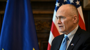 Trump, Vance not 'meddling' in Hungary vote, says US envoy to EU