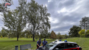 Ragazzino di 14 anni accoltellato al parco, arrestato 15enne
