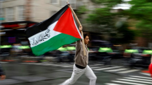 Medien: Irland und Norwegen wollen am Mittwoch Pal&auml;stinenserstaat anerkennen