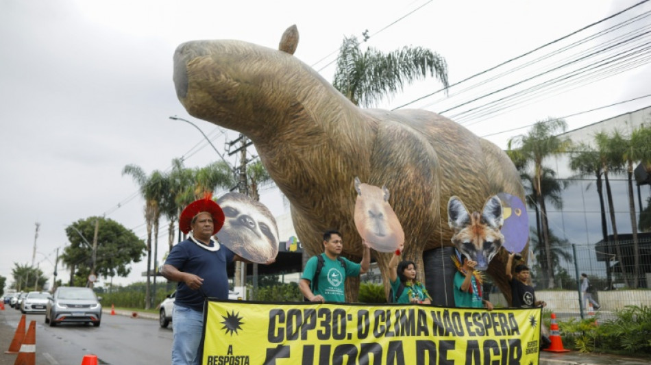 Antes de la COP30, Brasil y otros países acuerdan cuadruplicar los combustibles sostenibles