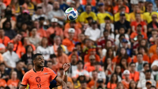 Gakpo savours 'freedom' to fire Dutch in World Cup title bid