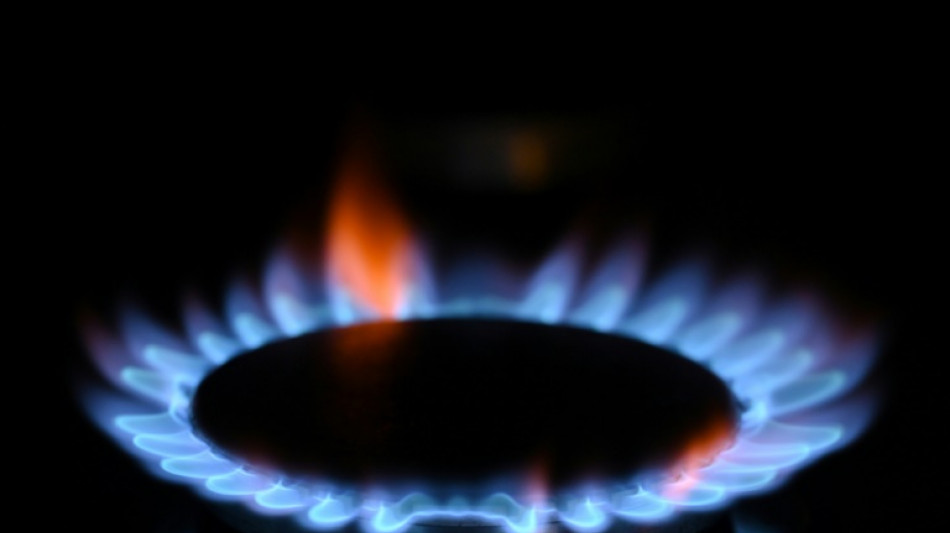 Gazprom stoppt Lieferungen an niederl&auml;ndisches Energieunternehmen 