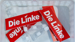 Schwerdtner und Pantisano zu neuen Linken-Vorsitzenden gew&auml;hlt