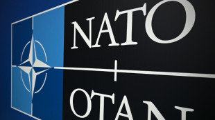 Les dirigeants allemand, canadien et norv&eacute;gien dans l'Arctique pour y parler s&eacute;curit&eacute;