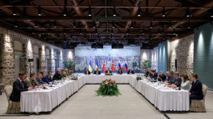 Ukraine says ready for 'necessary steps' at Istanbul talks with Russia