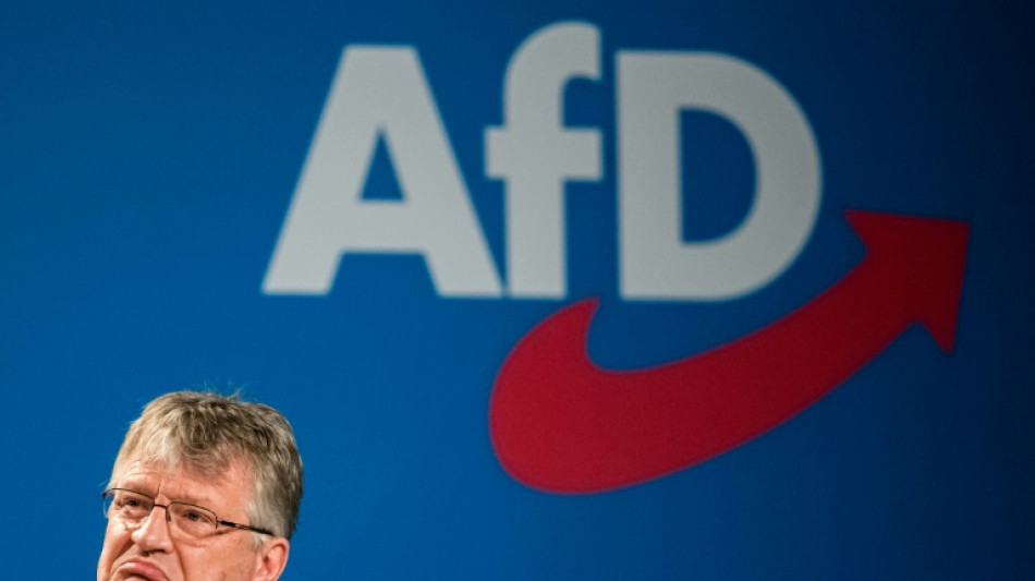 Meuthen verl&auml;sst auch Rechtspopulisten-Fraktion im Europaparlament