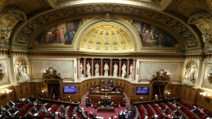 Nouvelle-Cal&eacute;donie: le gouvernement engag&eacute; dans un contre-la-montre incertain au Parlement
