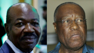 Gabon's Bongo seeks third term in nationwide poll