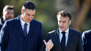 Macron et Sanchez scellent en grande pompe l'amiti&eacute; franco-espagnole