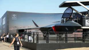 Britain's Burnham says open to Germany joining warplane project