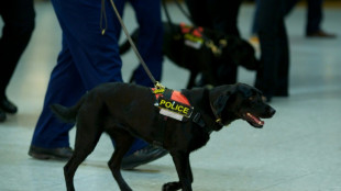La policía londinense detiene a un sospechoso de introducir gas lacrimógeno en el aeropuerto de Heathrow