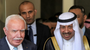 En pleno acercamiento con Israel, Arabia Saudita env&iacute;a a una delegaci&oacute;n a Cisjordania