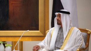 Mohammed bin Sajed zum Pr&auml;sidenten der Vereinigten Arabischen Emirate gew&auml;hlt