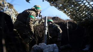 Combats acharn&eacute;s pour le contr&ocirc;le de Vougledar, dans l'est de l'Ukraine