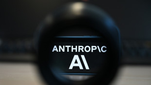 Modelo de IA da Anthropic acessou dados de eleitores dos EUA