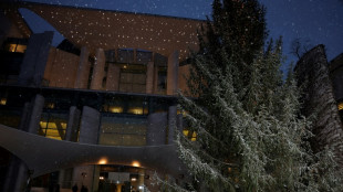 Einfuhr von Weihnachtsbäumen stark zurückgegangen