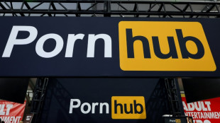 Pornhub processa UE por lei de conte&uacute;dos digitais