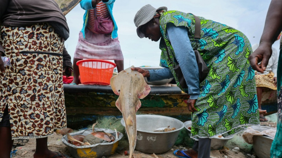 In Ghana, one man's race to save critically endangered fish