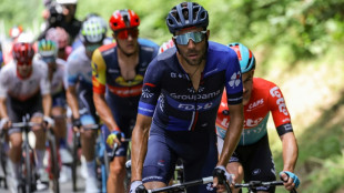 La 13e &eacute;tape du Tour: le peloton &agrave; l'assaut du Jura