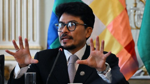 Bolivia busca la cooperaci&oacute;n tecnol&oacute;gica de EEUU para desarrollar la industria de litio